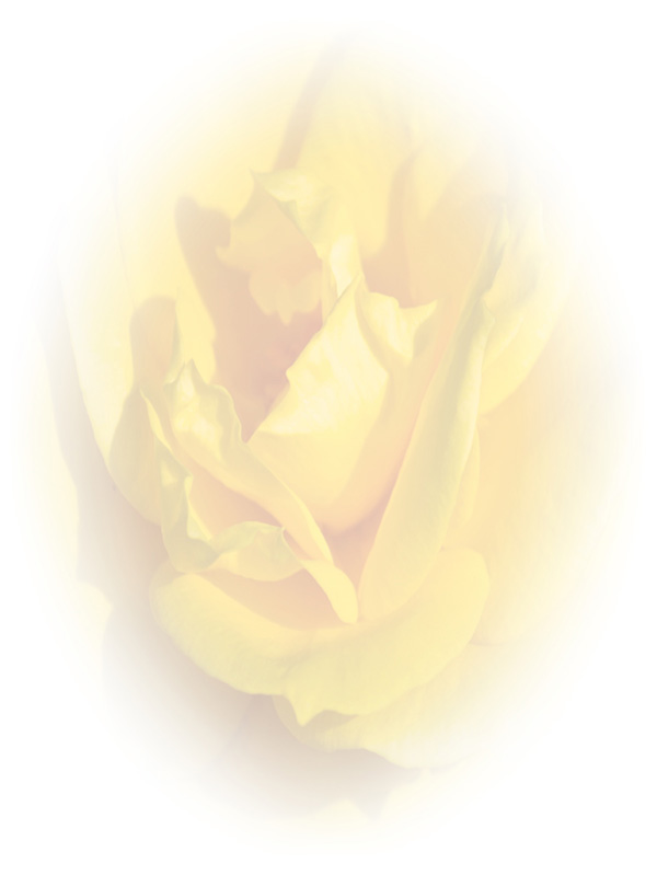 Law of Attraction Card - Image 3