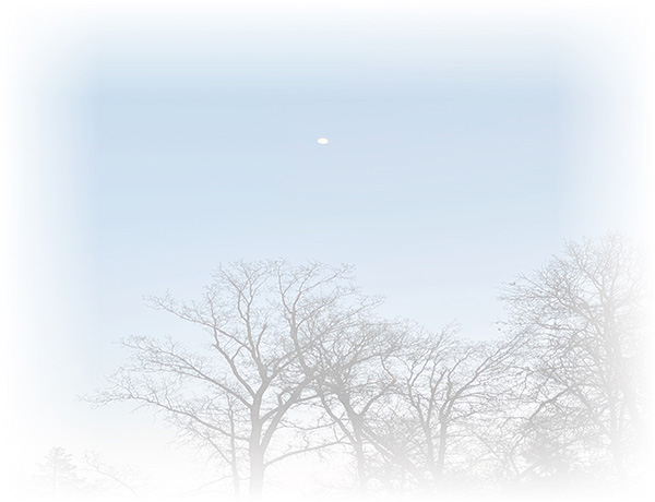 Law of Attraction Card - Image 3