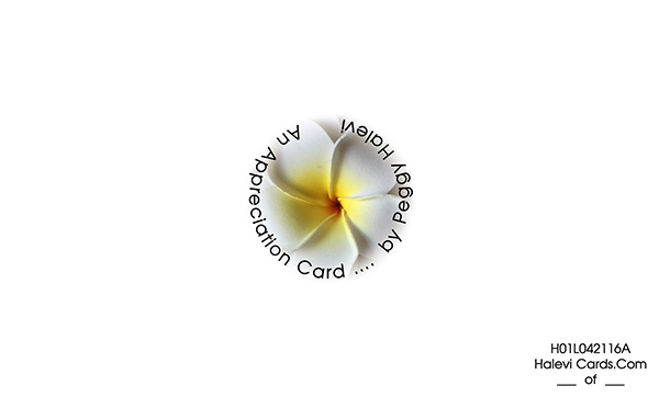 Law of Attraction Card - Image 2