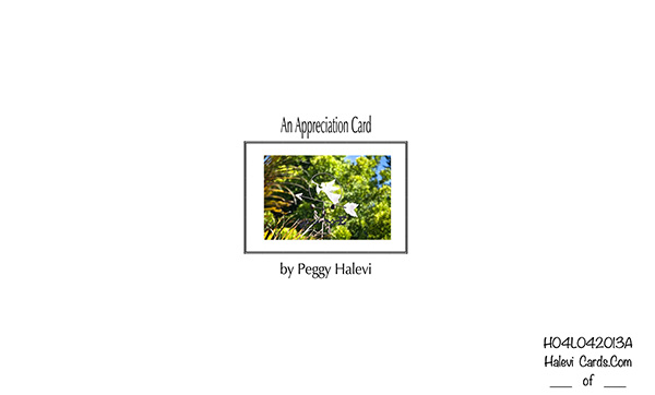 Law of Attraction Card - Image 2