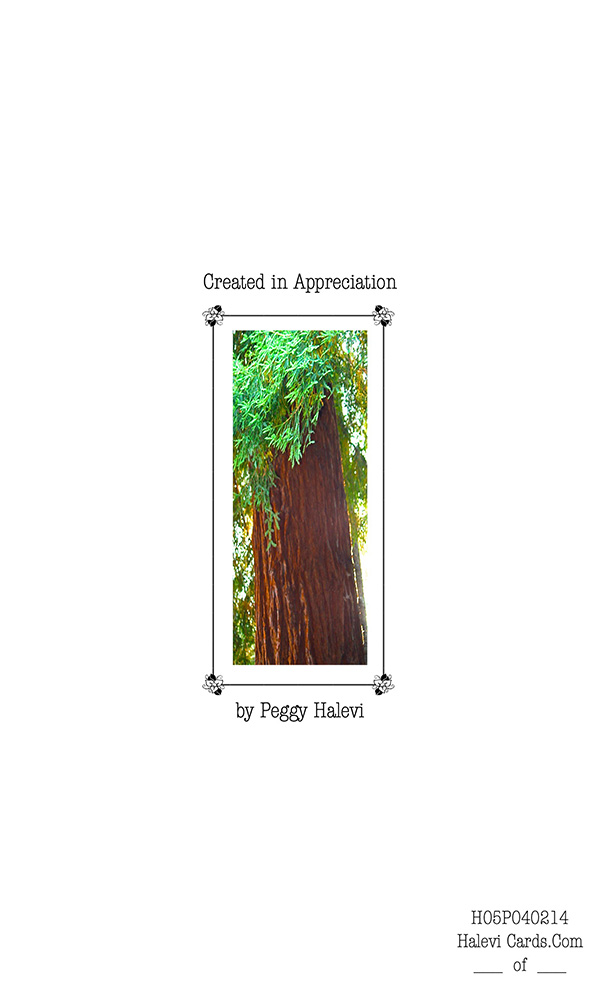 Law of Attraction Card - Image 2