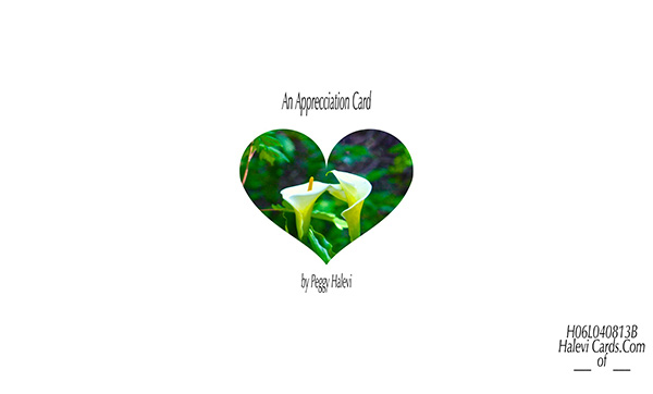 Law of Attraction Card - Image 2