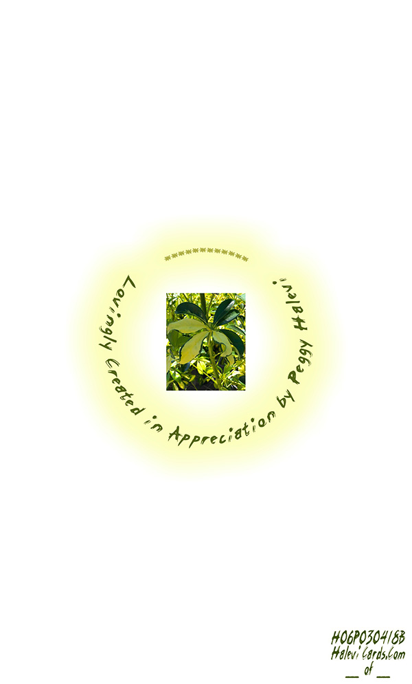 Law of Attraction Card - Image 2