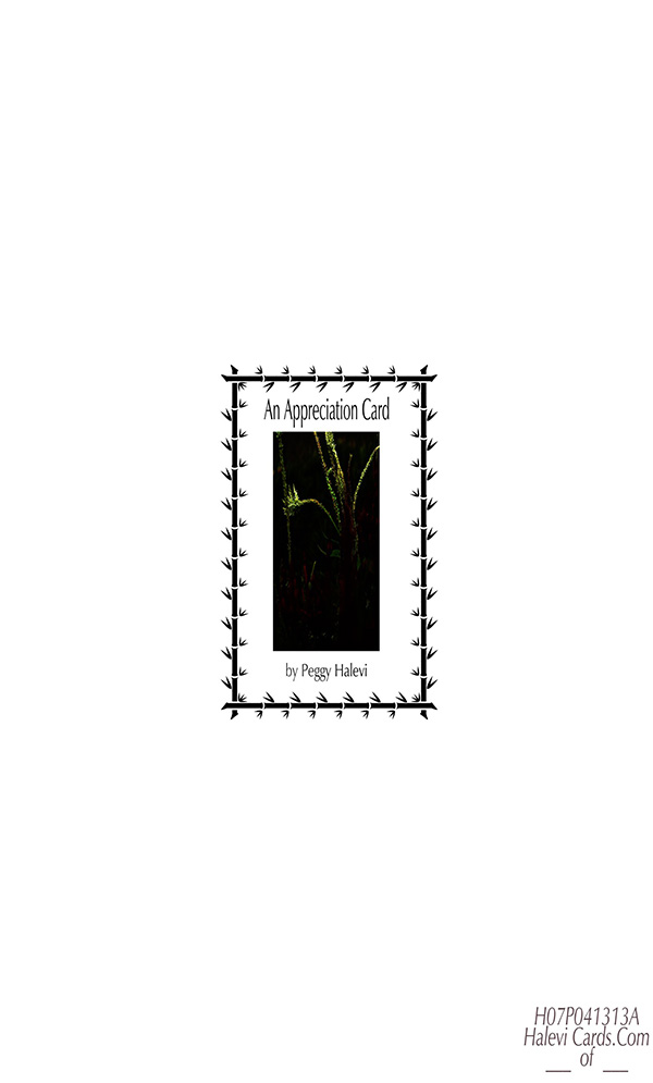 Law of Attraction Card - Image 2