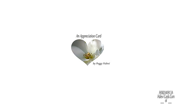 Law of Attraction Card - Image 2