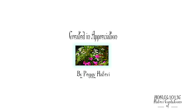 Law of Attraction Card - Image 2
