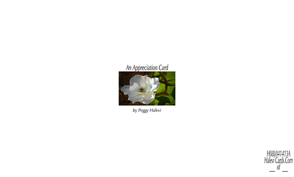 Law of Attraction Card - Image 2