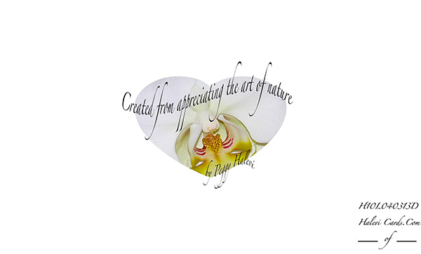 Law of Attraction Card - Image 2