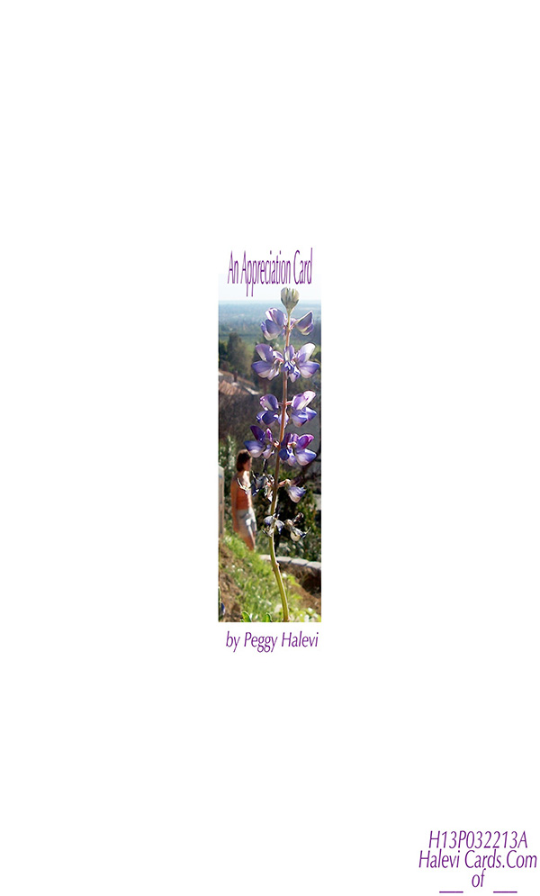 Law of Attraction Card - Image 2