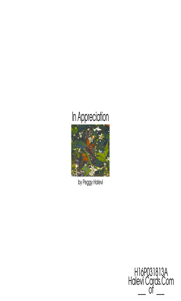 Law of Attraction Card - Image 2