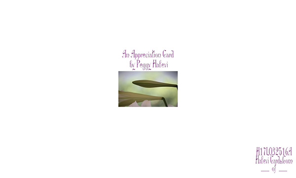 Law of Attraction Card - Image 2