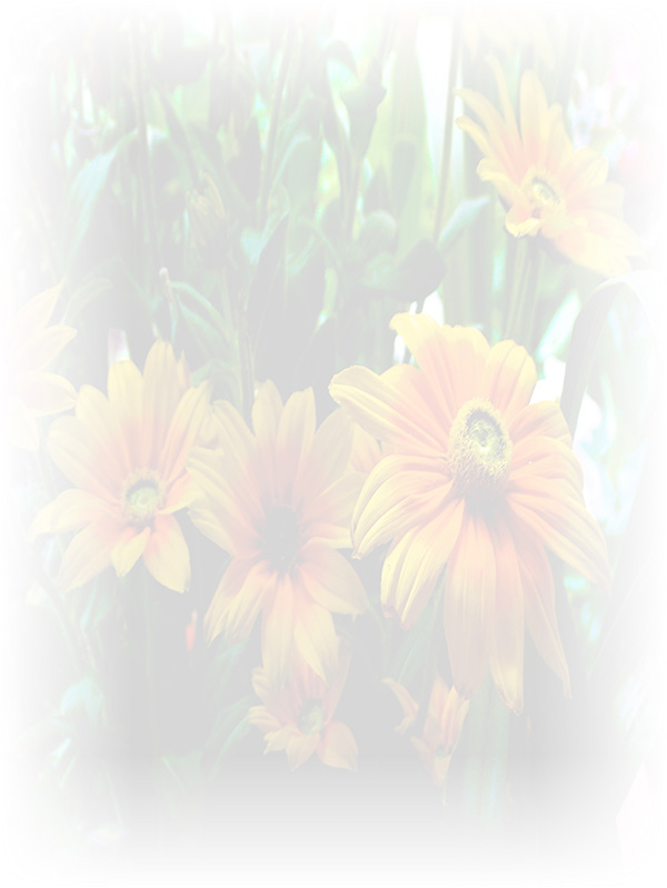Law of Attraction Card - Image 3