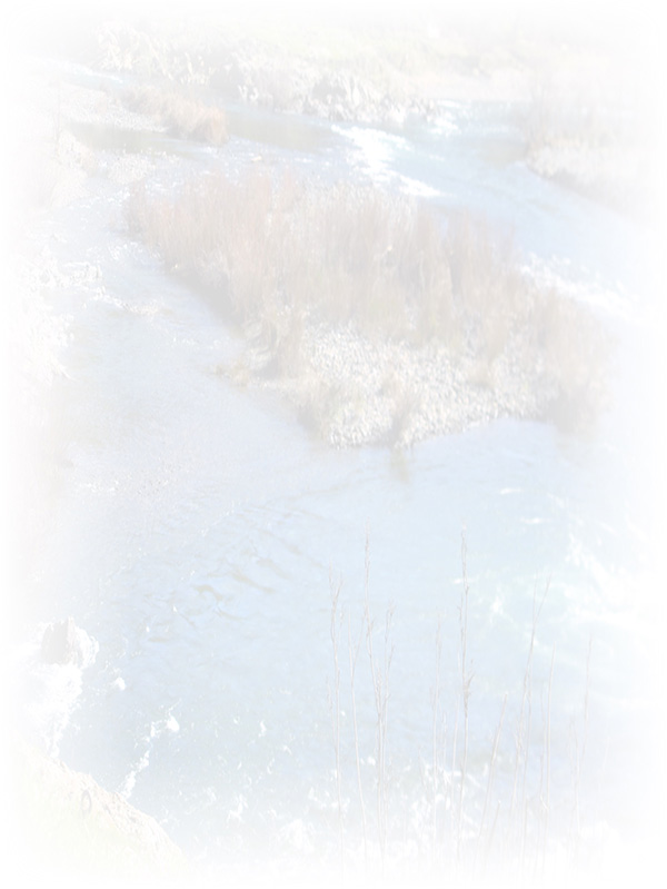 Law of Attraction Card - Image 3
