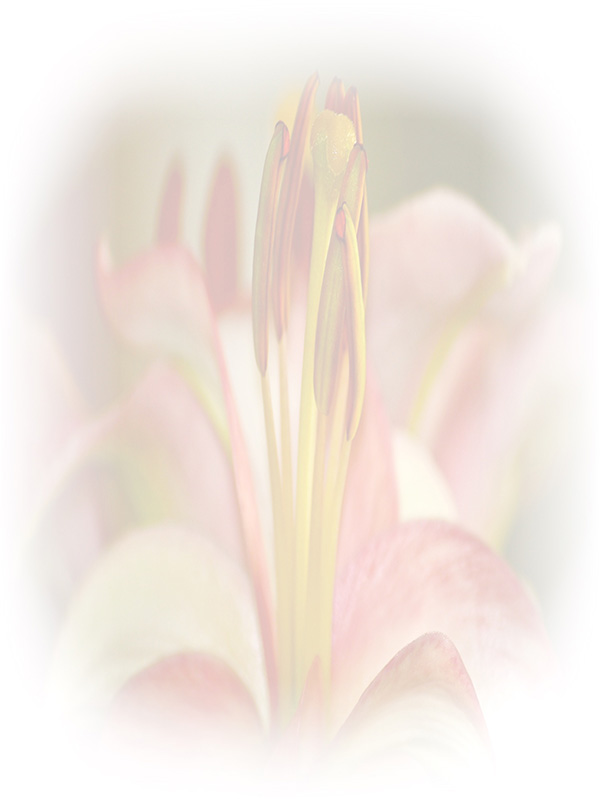 Law of Attraction Card - Image 3