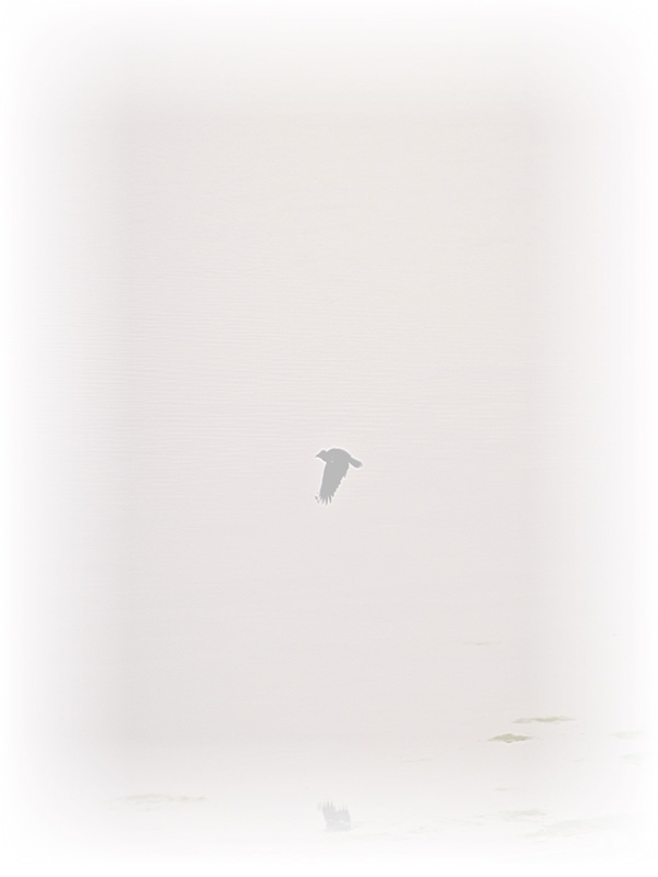 Law of Attraction Card - Image 3