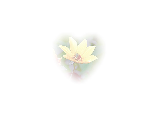 Law of Attraction Card - Image 3