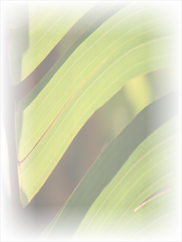 Law of Attraction Card - Image 3