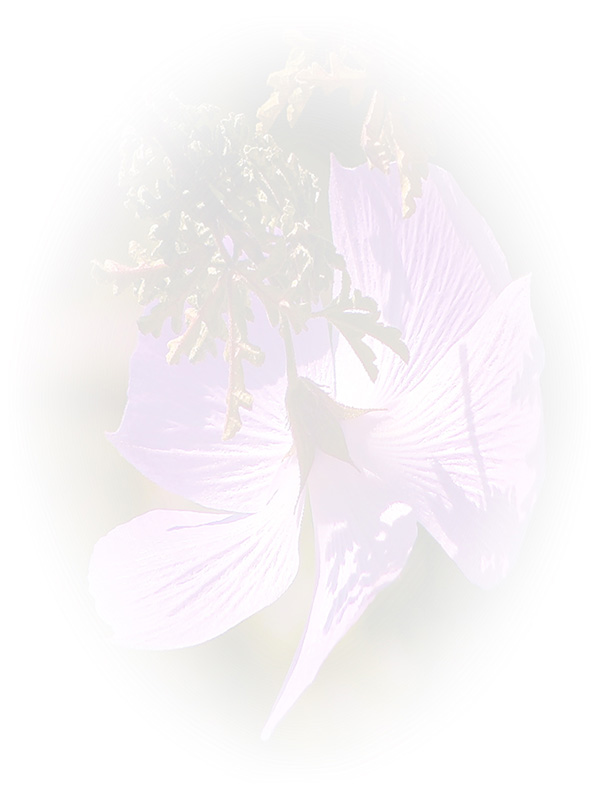 Law of Attraction Card - Image 3