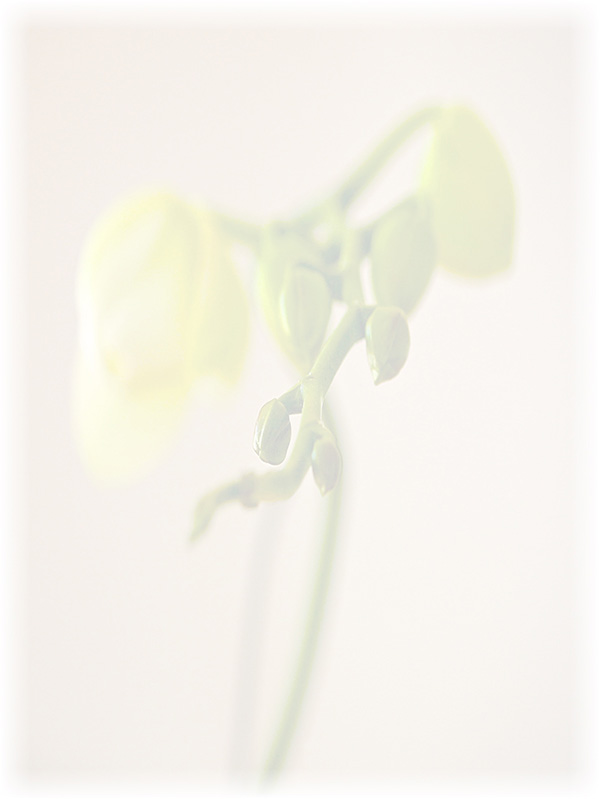 Law of Attraction Card - Image 3