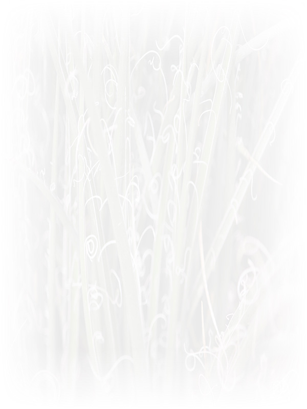 Law of Attraction Card - Image 3