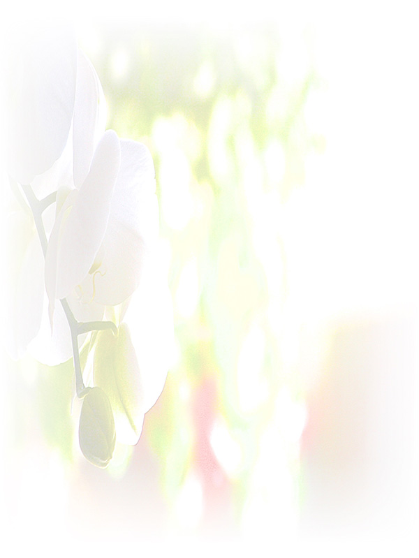 Law of Attraction Card - Image 3
