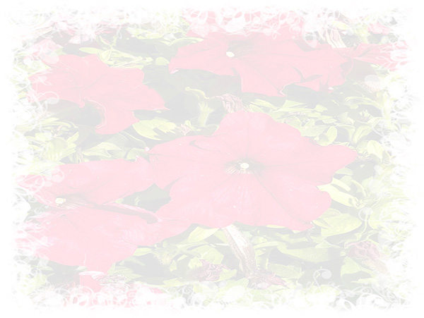 Law of Attraction Card - Image 3