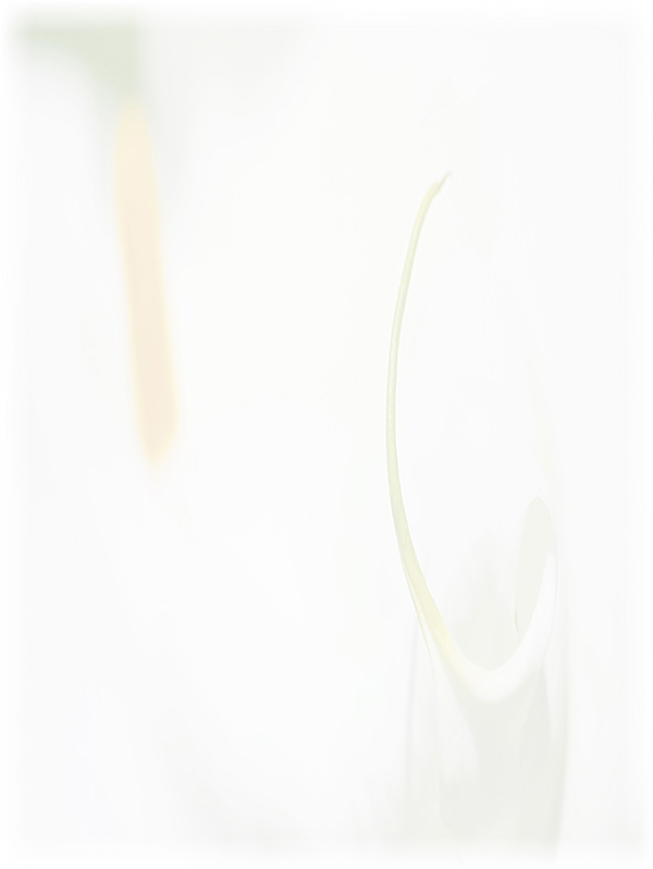 Law of Attraction Card - Image 3