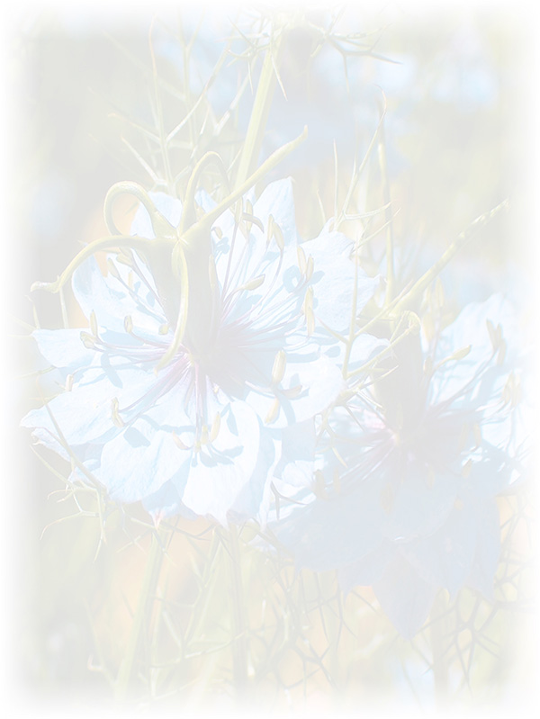 Law of Attraction Card - Image 3