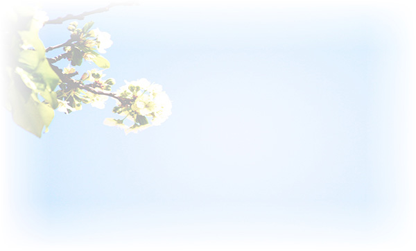 Law of Attraction Card - Image 3