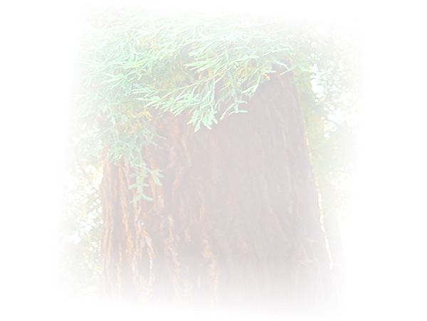 Law of Attraction Card - Image 3
