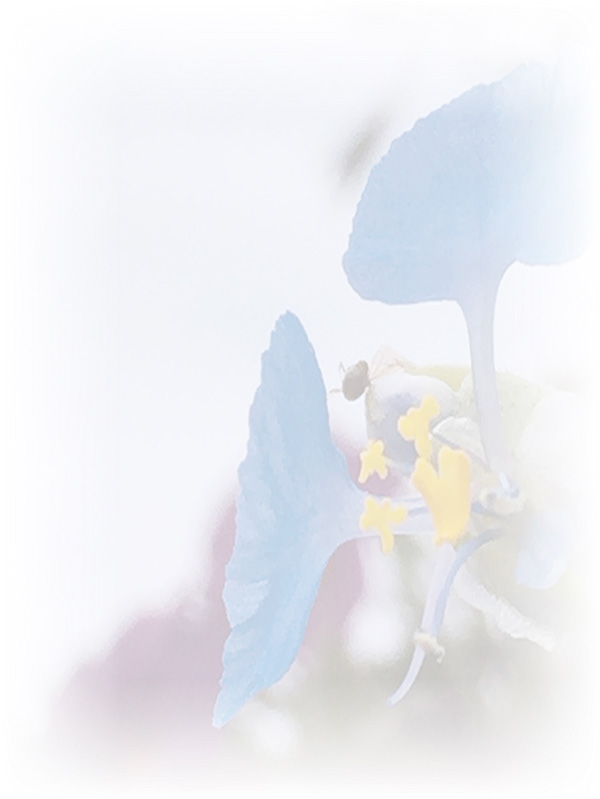 Law of Attraction Card - Image 3