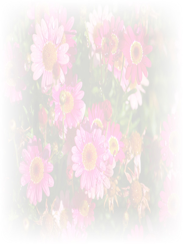 Law of Attraction Card - Image 3