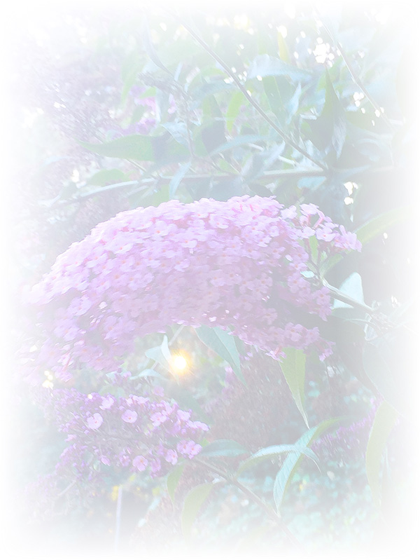 Law of Attraction Card - Image 3