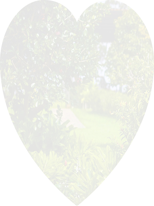 Law of Attraction Card - Image 3