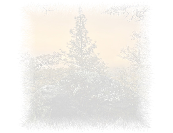 Law of Attraction Card - Image 3