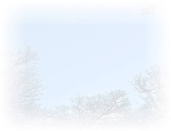 Law of Attraction Card - Image 3