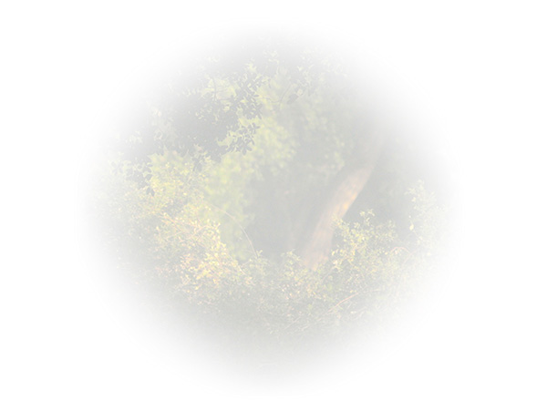 Law of Attraction Card - Image 3