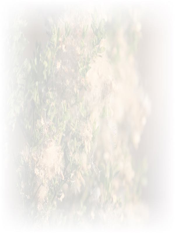 Law of Attraction Card - Image 3