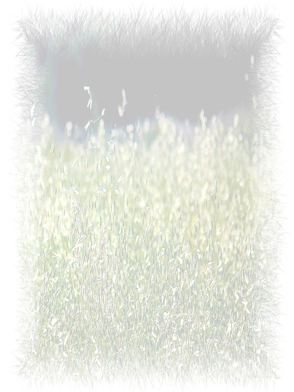 Law of Attraction Card - Image 3