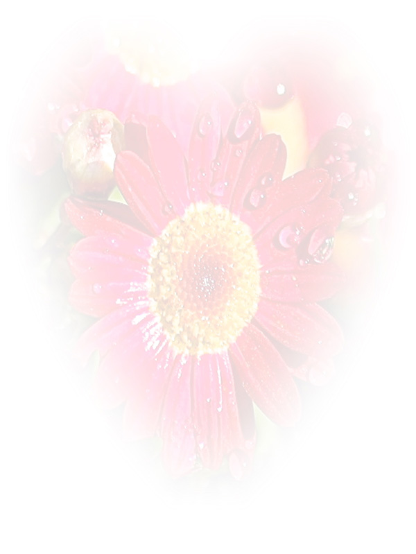 Law of Attraction Card - Image 3