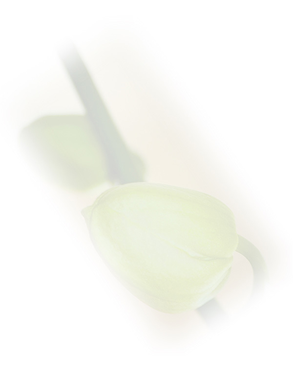 Law of Attraction Card - Image 3