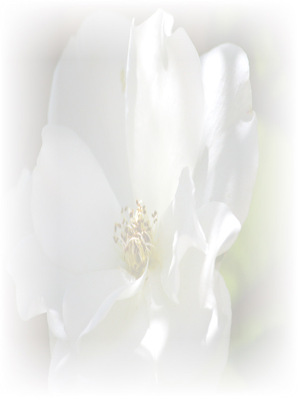Law of Attraction Card - Image 3