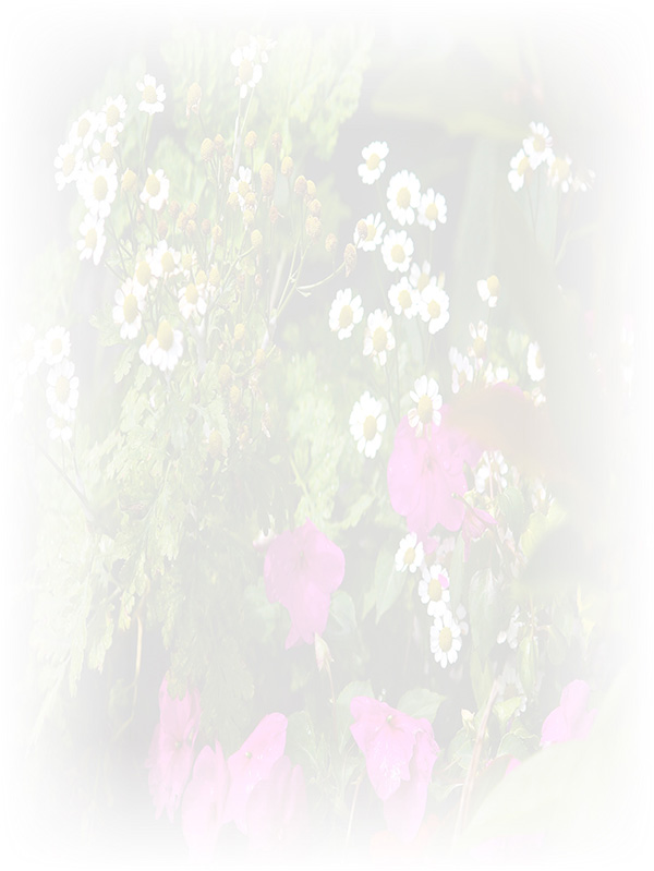 Law of Attraction Card - Image 3