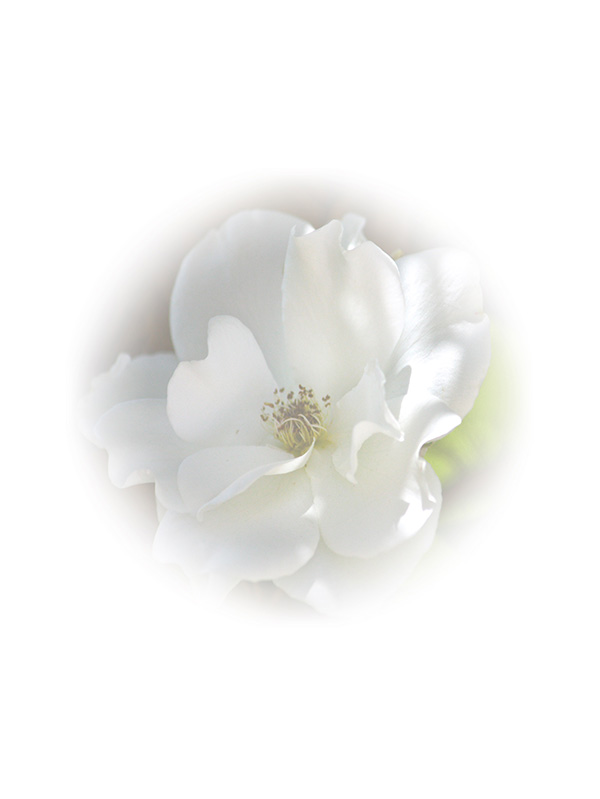 Law of Attraction Card - Image 3