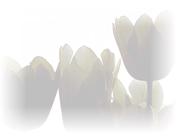 Law of Attraction Card - Image 3