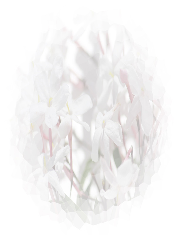 Law of Attraction Card - Image 3