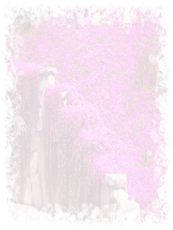Law of Attraction Card - Image 3