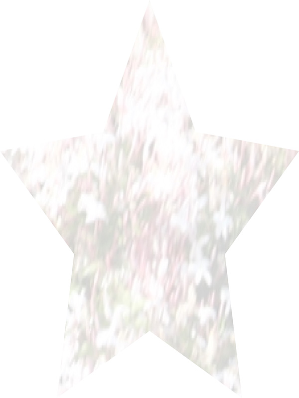 Law of Attraction Card - Image 3