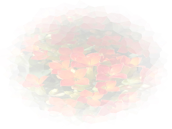 Law of Attraction Card - Image 3