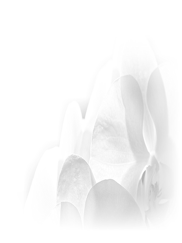Law of Attraction Card - Image 3